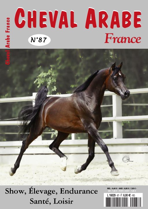 Cheval arabe France Bolero