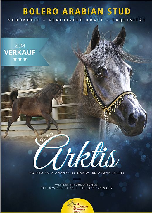 Zu verkaufen / For Sale - Arktis