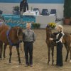 03_futurity_aachen__de_2004_fs