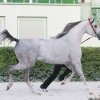 Theia in Baden bei Wien AT