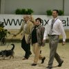 Araber des Jahres 2007