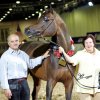 Dubai Cup 2008