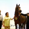 Dubai Cup 2008